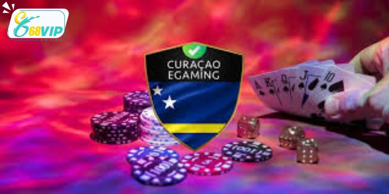 Khám phá thông tin chi tiết về giấy phép hoạt động